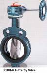 518H-G Butterfly Valve